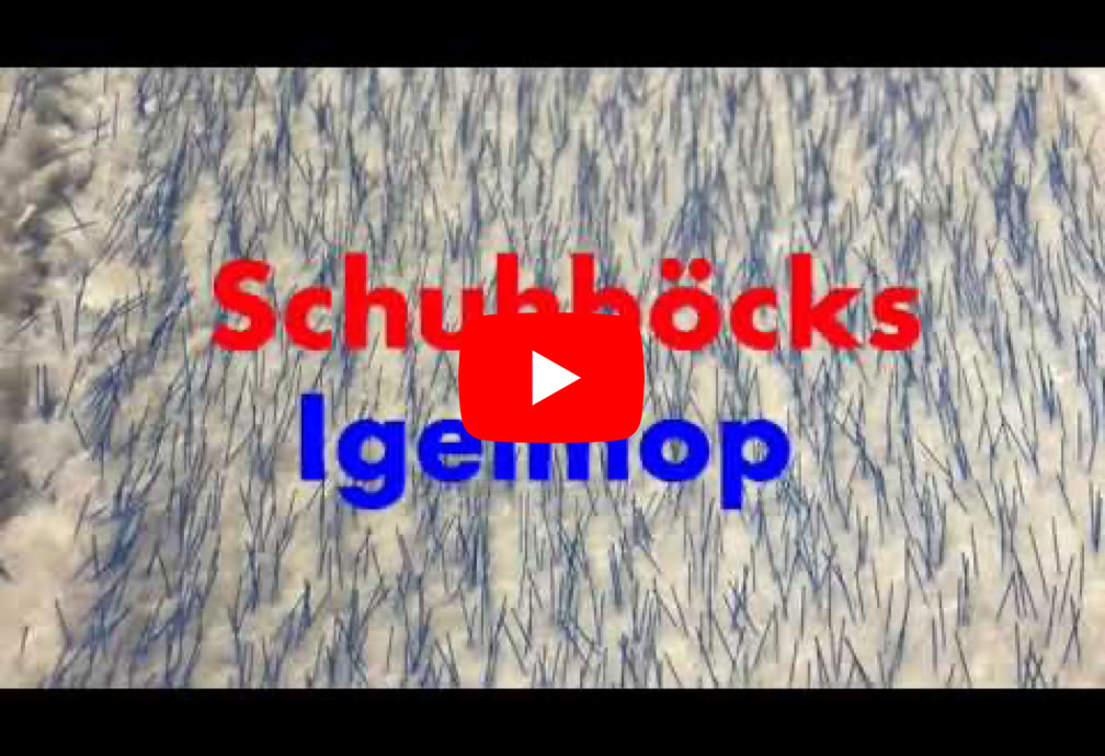 Video Video abspielen